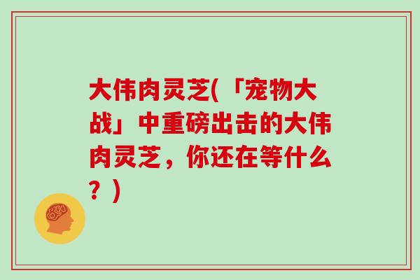 大伟肉灵芝(「宠物大战」中重磅出击的大伟肉灵芝，你还在等什么？)