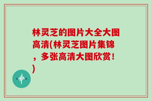 林灵芝的图片大全大图高清(林灵芝图片集锦，多张高清大图欣赏！)