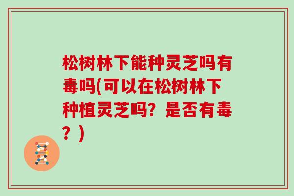 松树林下能种灵芝吗有毒吗(可以在松树林下种植灵芝吗？是否有毒？)