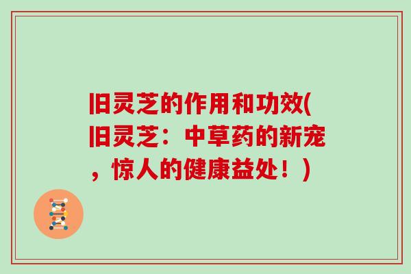 旧灵芝的作用和功效(旧灵芝：中草药的新宠，惊人的健康益处！)