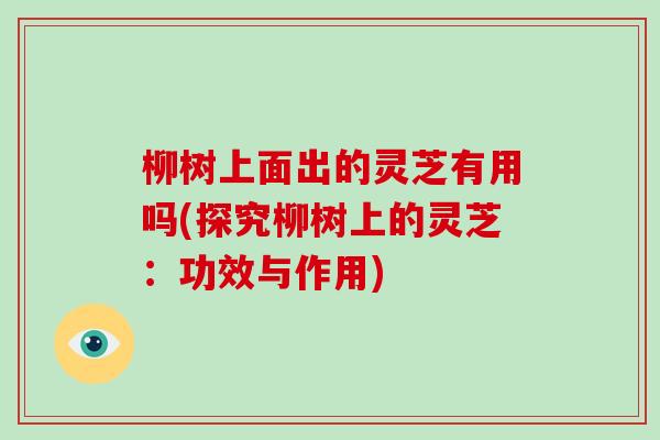 柳树上面出的灵芝有用吗(探究柳树上的灵芝:功效与作用)-第1张图片-灵芝大师 柳树上面出的灵芝有用吗(探究柳树上的灵芝:功效与作用)-第1张图片-灵芝大师
