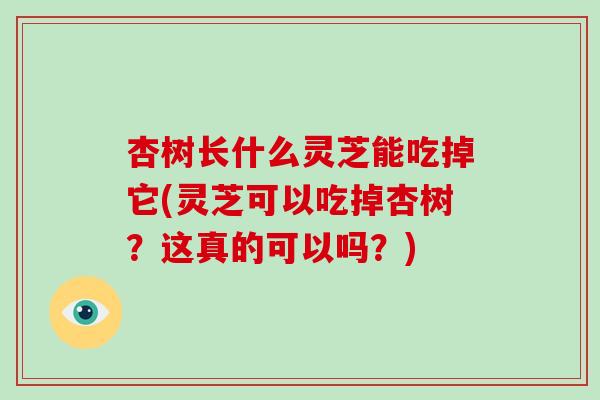 杏树长什么灵芝能吃掉它(灵芝可以吃掉杏树？这真的可以吗？)