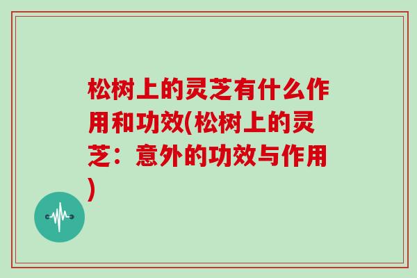 松树上的灵芝有什么作用和功效(松树上的灵芝：意外的功效与作用)-第1张图片-灵芝大师