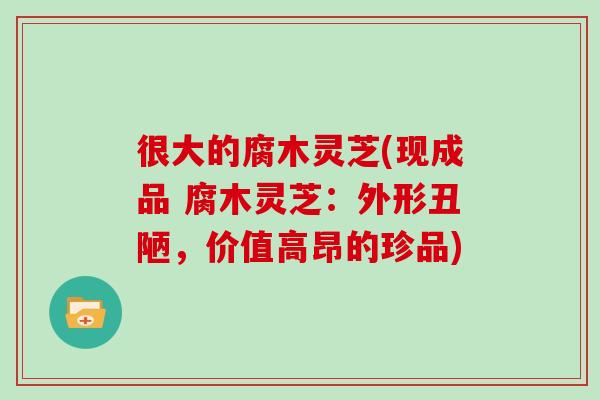 很大的腐木灵芝(现成品 腐木灵芝：外形丑陋，价值高昂的珍品)