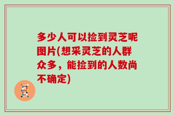 多少人可以捡到灵芝呢图片(想采灵芝的人群众多，能捡到的人数尚不确定)