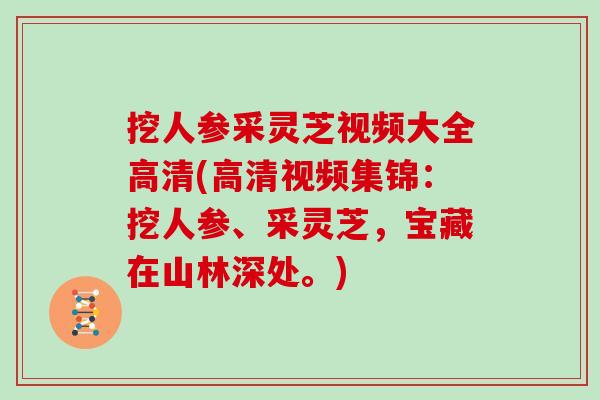 挖人参采灵芝视频大全高清(高清视频集锦：挖人参、采灵芝，宝藏在山林深处。)