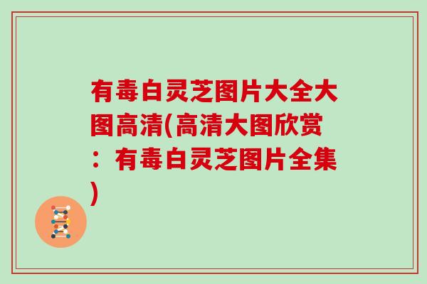 有毒白灵芝图片大全大图高清(高清大图欣赏：有毒白灵芝图片全集)-第1张图片-灵芝大师