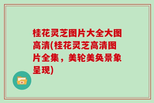 桂花灵芝图片大全大图高清(桂花灵芝高清图片全集，美轮美奂景象呈现)