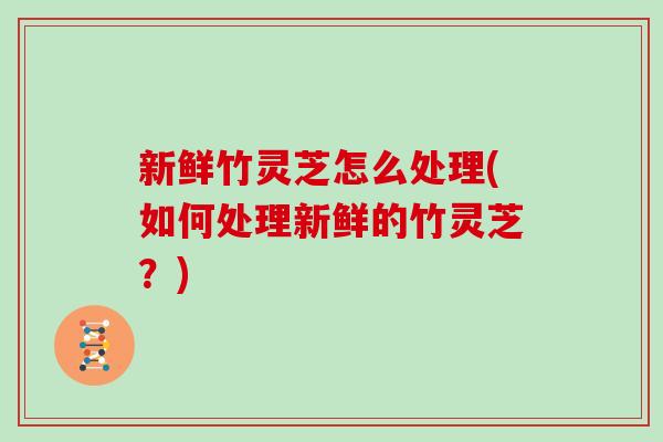 新鲜竹灵芝怎么处理(如何处理新鲜的竹灵芝？)-第1张图片-灵芝大师