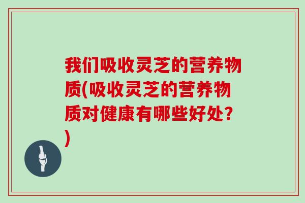 我们吸收灵芝的营养物质(吸收灵芝的营养物质对健康有哪些好处？)
