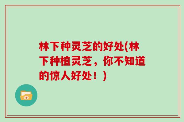林下种灵芝的好处(林下种植灵芝，你不知道的惊人好处！)
