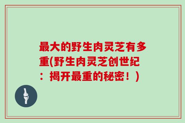最大的野生肉灵芝有多重(野生肉灵芝创世纪：揭开最重的秘密！)