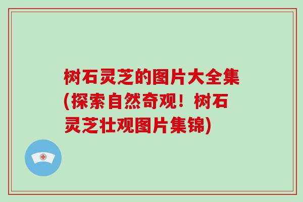 树石灵芝的图片大全集(探索自然奇观！树石灵芝壮观图片集锦)