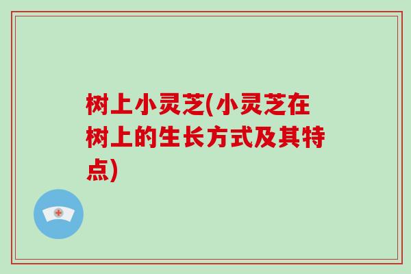 树上小灵芝(小灵芝在树上的生长方式及其特点)