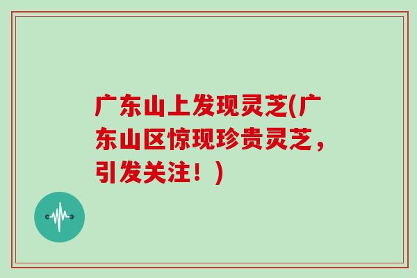 广东山上发现灵芝(广东山区惊现珍贵灵芝，引发关注！)