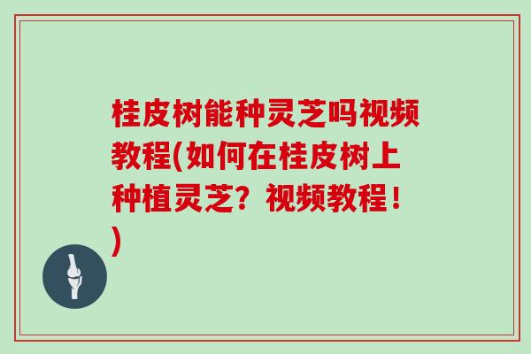 桂皮树能种灵芝吗视频教程(如何在桂皮树上种植灵芝？视频教程！)