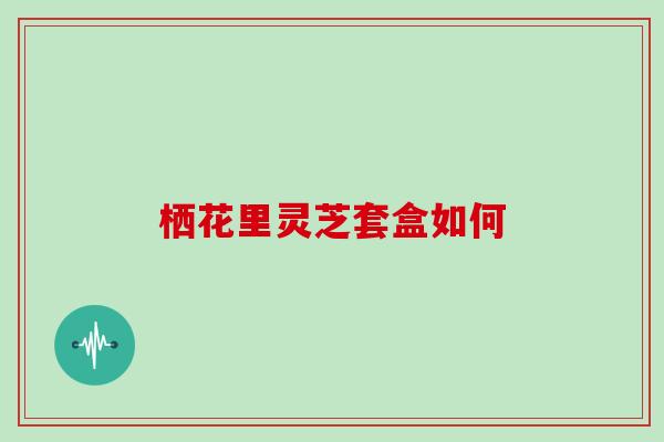 栖花里灵芝套盒如何