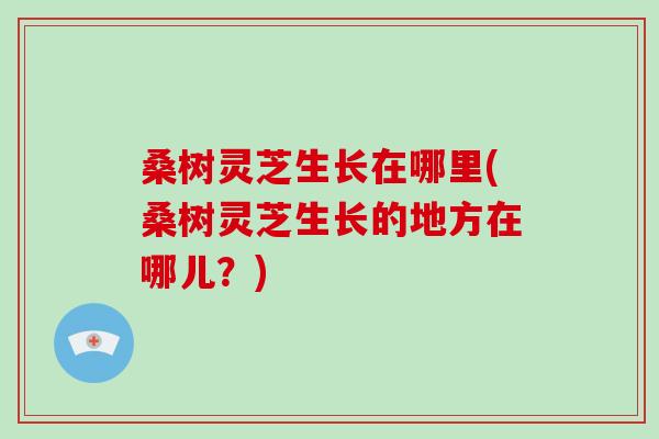 桑树灵芝生长在哪里(桑树灵芝生长的地方在哪儿？)