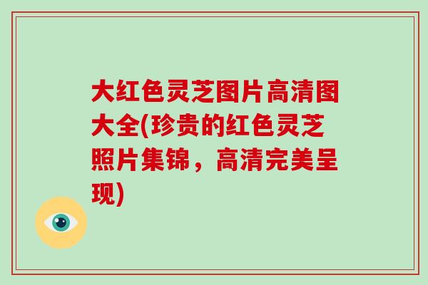 大红色灵芝图片高清图大全(珍贵的红色灵芝照片集锦，高清完美呈现)