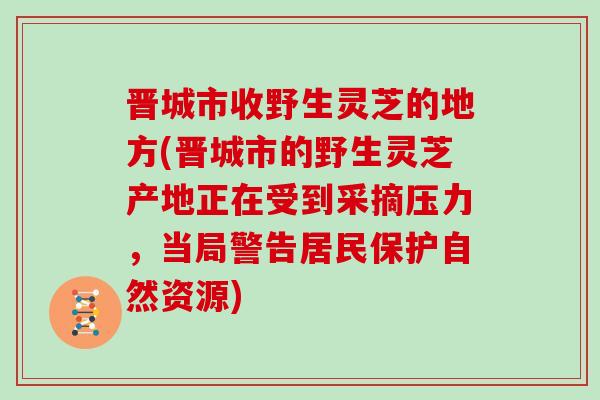 晋城市收野生灵芝的地方(晋城市的野生灵芝产地正在受到采摘压力，当局警告居民保护自然资源)