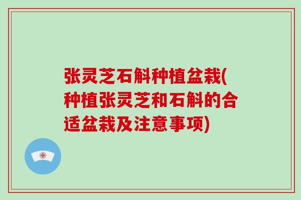 张灵芝石斛种植盆栽(种植张灵芝和石斛的合适盆栽及注意事项)
