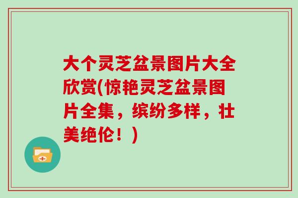 大个灵芝盆景图片大全欣赏(惊艳灵芝盆景图片全集，缤纷多样，壮美绝伦！)