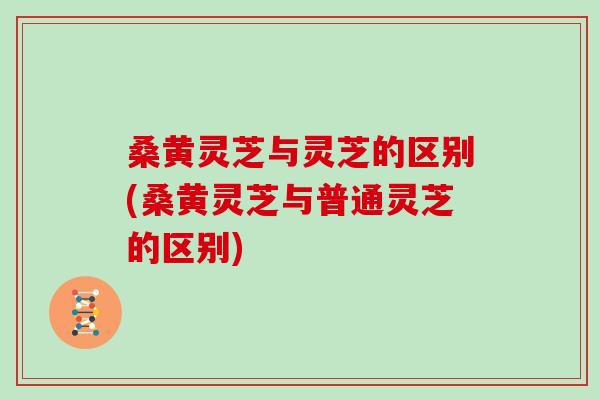 桑黄灵芝与灵芝的区别(桑黄灵芝与普通灵芝的区别)