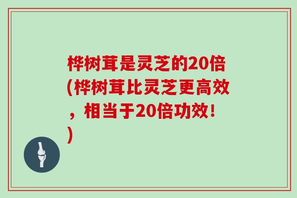 桦树茸是灵芝的20倍(桦树茸比灵芝更高效，相当于20倍功效！)