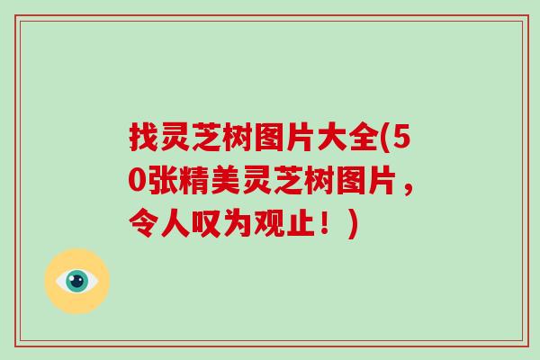 找灵芝树图片大全(50张精美灵芝树图片，令人叹为观止！)
