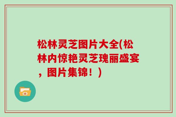 松林灵芝图片大全(松林内惊艳灵芝瑰丽盛宴，图片集锦！)