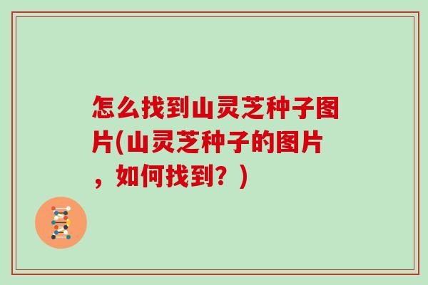 怎么找到山灵芝种子图片(山灵芝种子的图片，如何找到？)