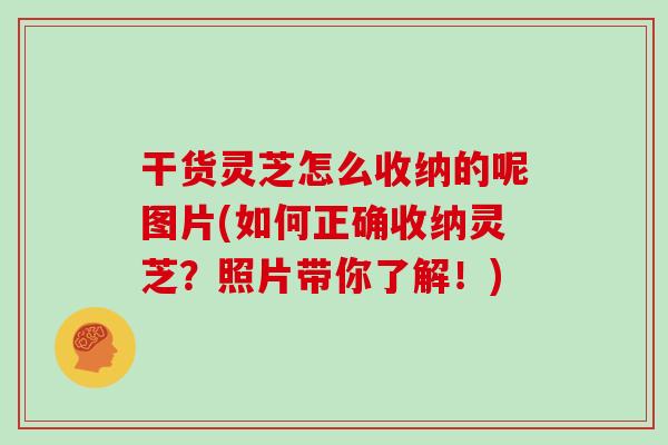 干货灵芝怎么收纳的呢图片(如何正确收纳灵芝？照片带你了解！)