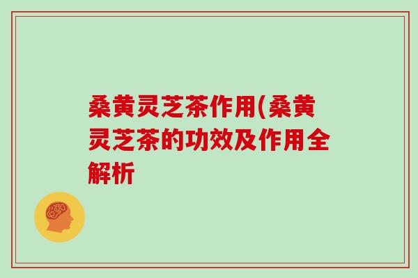 桑黄灵芝茶作用(桑黄灵芝茶的功效及作用全解析
