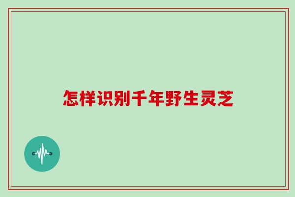 怎样识别千年野生灵芝