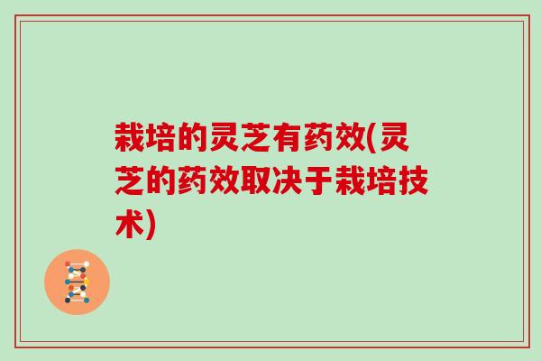 栽培的灵芝有药效(灵芝的药效取决于栽培技术)