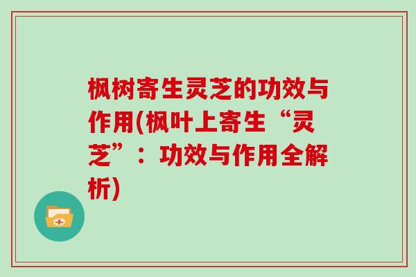 枫树寄生灵芝的功效与作用(枫叶上寄生“灵芝”：功效与作用全解析)
