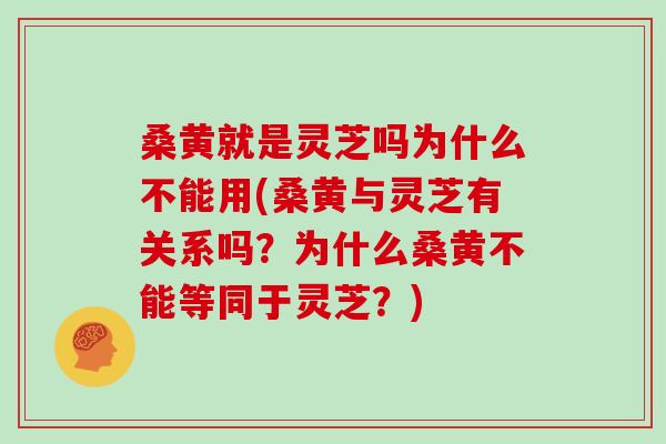 桑黄就是灵芝吗为什么不能用(桑黄与灵芝有关系吗？为什么桑黄不能等同于灵芝？)