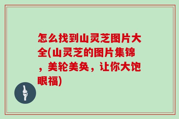 怎么找到山灵芝图片大全(山灵芝的图片集锦，美轮美奂，让你大饱眼福)