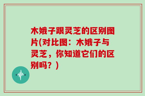 木娥子跟灵芝的区别图片(对比图：木娥子与灵芝，你知道它们的区别吗？)
