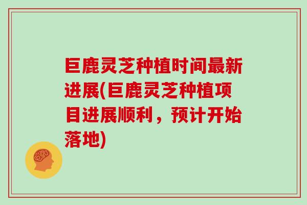 巨鹿灵芝种植时间最新进展(巨鹿灵芝种植项目进展顺利，预计开始落地)