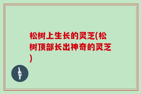 松树上生长的灵芝(松树顶部长出神奇的灵芝)