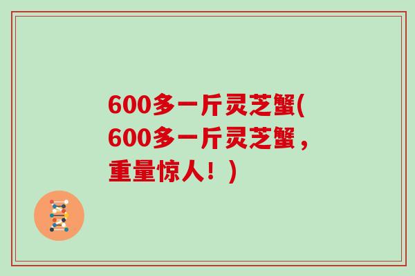 600多一斤灵芝蟹(600多一斤灵芝蟹，重量惊人！)