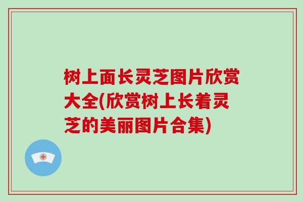 树上面长灵芝图片欣赏大全(欣赏树上长着灵芝的美丽图片合集)