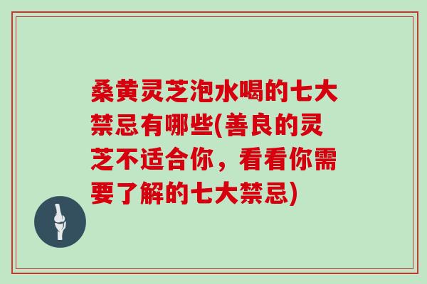 桑黄灵芝泡水喝的七大禁忌有哪些(善良的灵芝不适合你，看看你需要了解的七大禁忌)
