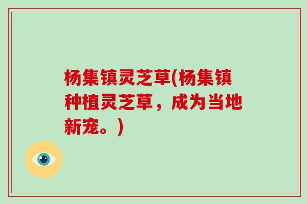 杨集镇灵芝草(杨集镇种植灵芝草，成为当地新宠。)