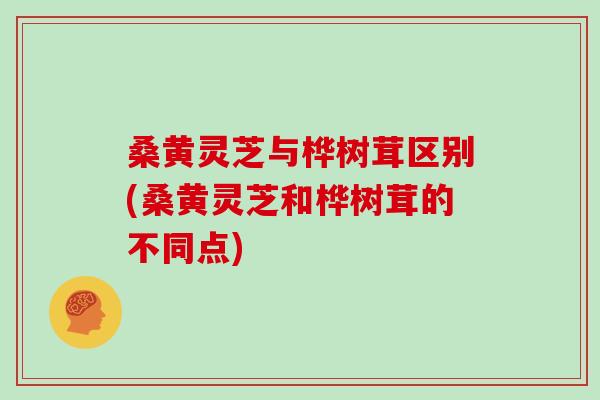 桑黄灵芝与桦树茸区别(桑黄灵芝和桦树茸的不同点)