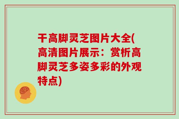 干高脚灵芝图片大全(高清图片展示：赏析高脚灵芝多姿多彩的外观特点)