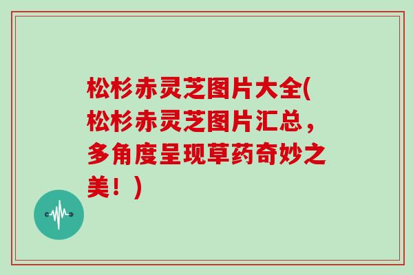 松杉赤灵芝图片大全(松杉赤灵芝图片汇总，多角度呈现草药奇妙之美！)