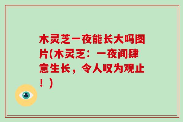 木灵芝一夜能长大吗图片(木灵芝:一夜间肆意生长,令人叹为观止!)-第1张图片-灵芝大师 木灵芝一夜能长大吗图片(木灵芝:一夜间肆意生长,令人叹为观止!)-第1张图片-灵芝大师