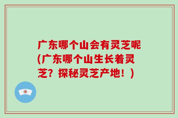 广东哪个山会有灵芝呢(广东哪个山生长着灵芝？探秘灵芝产地！)